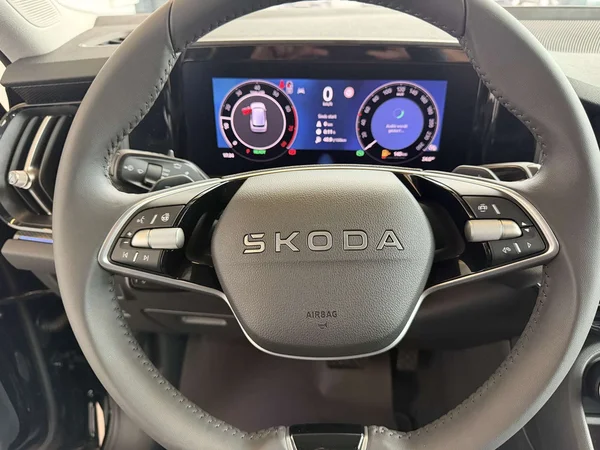 Škoda Kodiaq — foto 11 van 25