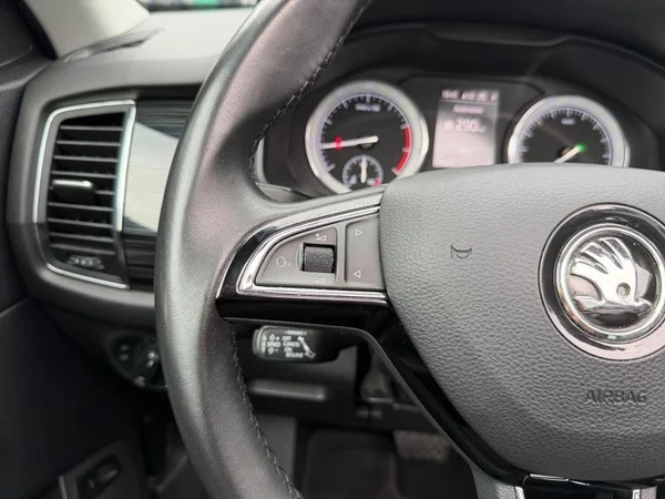 SKODA Kodiaq (2020) — foto 11 van 29