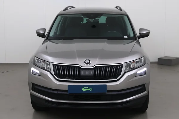 Skoda Kodiaq (2018) — foto 12 van 20