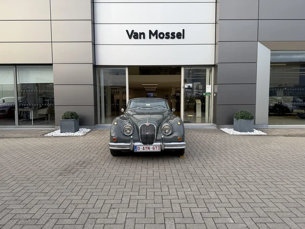 Jaguar XK (1960) — foto 14 van 21
