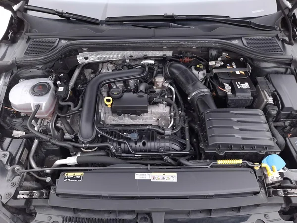 Volkswagen Golf VIII (2023) — foto 9 van 30