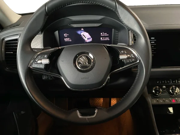 SKODA Kodiaq (2024) — foto 13 van 22