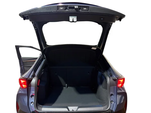 CUPRA Tavascan (2025) — foto 11 van 24