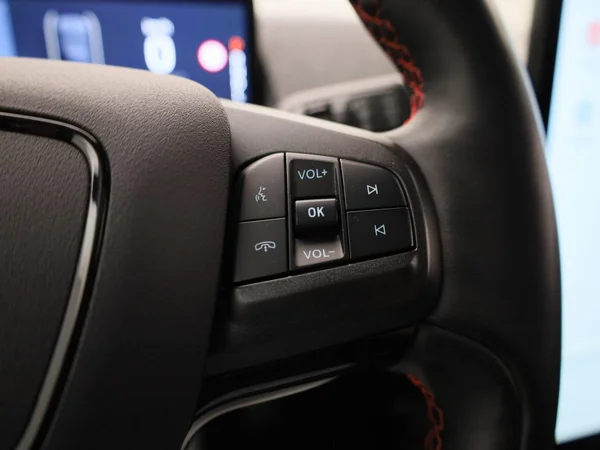 Ford Mustang Mach-E (2021) — foto 13 van 46