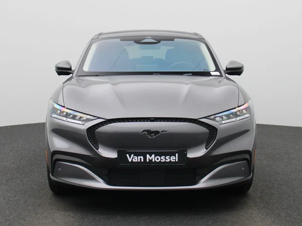 Ford Mustang Mach-E (2021) — foto 23 van 45