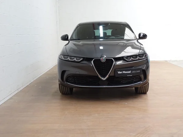 Alfa Romeo Tonale (2024) — foto 20 van 20