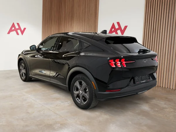 Ford Mustang-Mach-E (2021) — foto 29 van 29