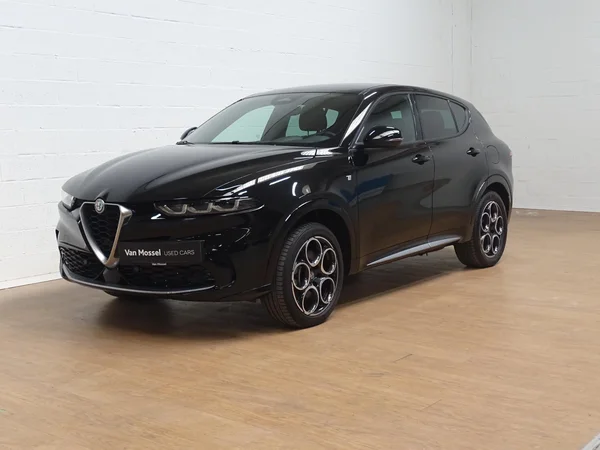Alfa Romeo Tonale (2024) — foto 22 van 26