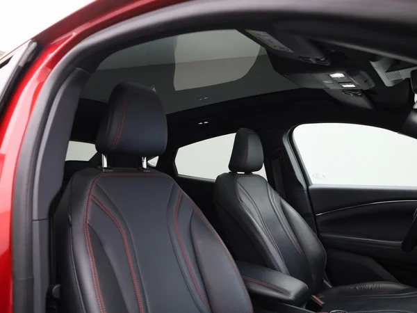 Ford Mustang Mach-E (2021) — foto 35 van 46