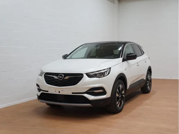 Opel Grandland X (2021) — foto 18 van 20