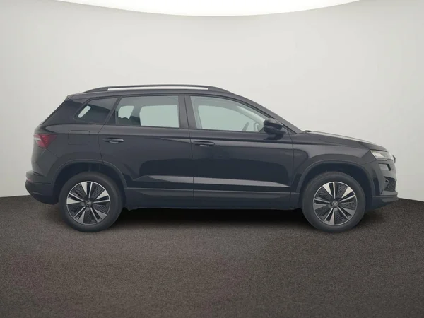 SKODA Karoq (2026) — foto 10 van 10