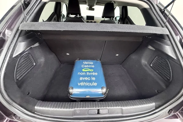 DS Ds 3 Crossback (2020) — foto 9 van 43