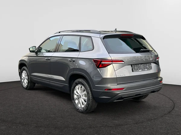 SKODA Karoq (2025) — foto 14 van 20