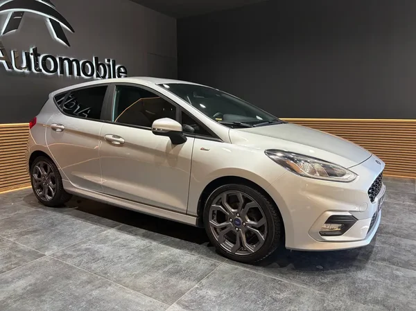 Ford Fiesta (2019) — foto 13 van 24