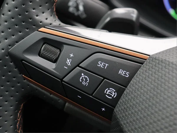 CUPRA Leon ST e-Hybrid (PHEV) (2025) — foto 13 van 14