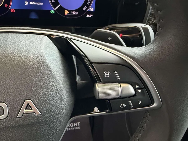 Škoda Kodiaq — foto 15 van 25