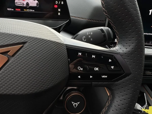 CUPRA Born (2024) — foto 16 van 17