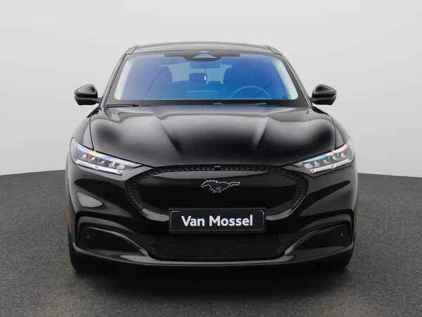 Ford Mustang Mach-E (2021) — foto 23 van 44