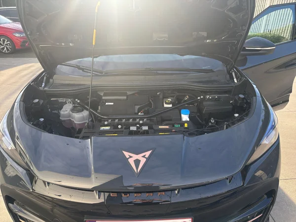 CUPRA Tavascan (2026) — foto 19 van 24