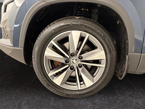 SKODA Karoq Dsl (2022) — foto 17 van 17