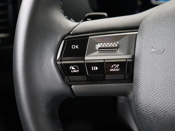 DS AUTOMOBILES DS 4 (2023) — foto 10 van 28