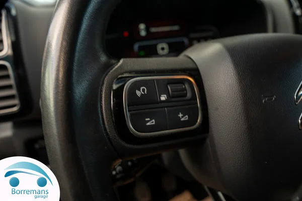 Citroen C5-AIRCROSS (2019) — foto 24 van 36