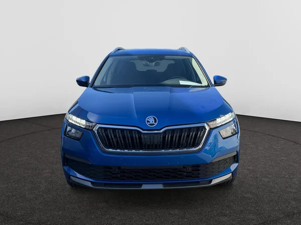 SKODA Kamiq (2022) — foto 11 van 20