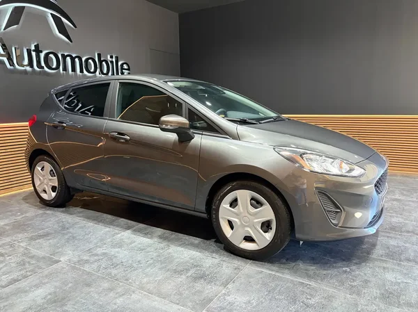 Ford Fiesta (2020) — foto 11 van 22