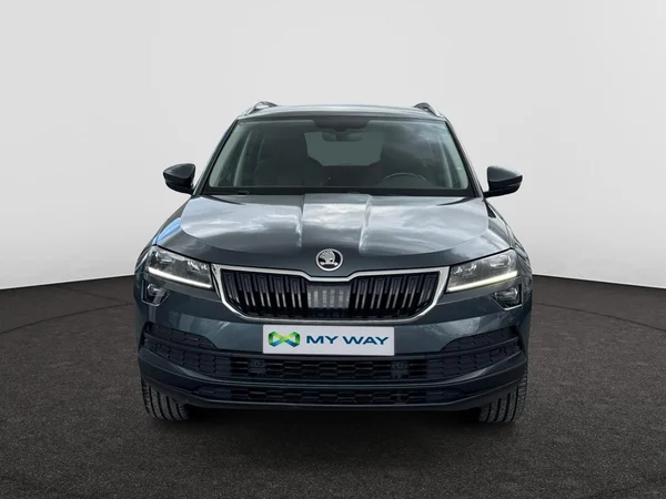 SKODA Karoq (2018) — foto 4 van 15