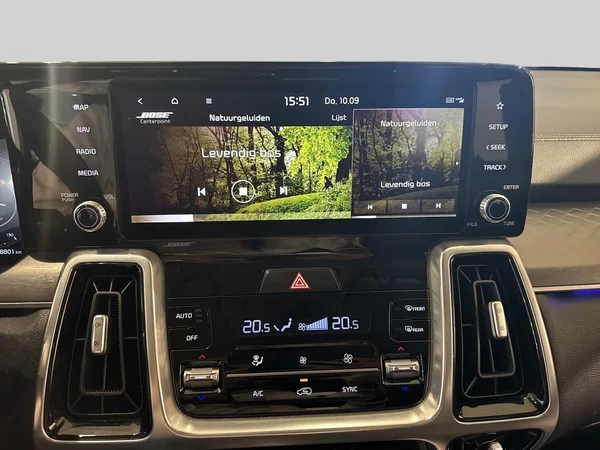 Kia Sorento (2021) — foto 7 van 22
