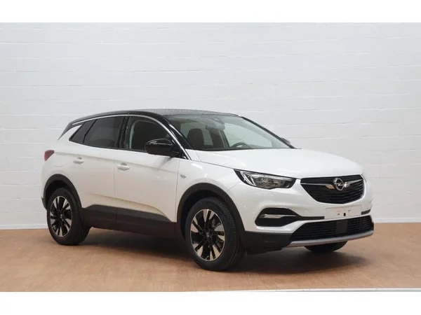 Opel Grandland X (2021) — foto 12 van 20