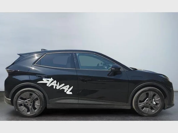 Cupra Raval (2026) — foto 14 van 15
