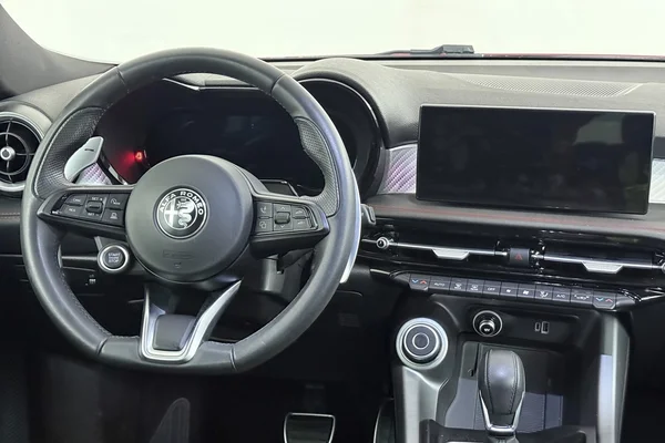 Alfa Romeo Tonale (2024) — foto 32 van 32