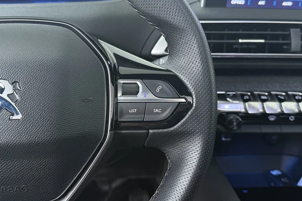 Peugeot 3008 (2019) — foto 8 van 24