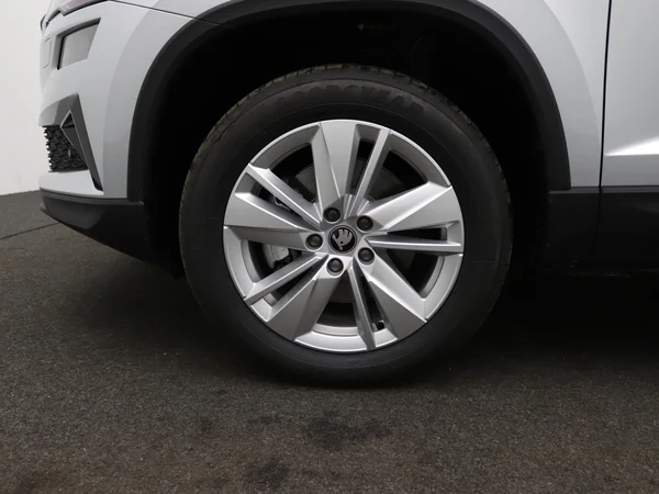 SKODA Karoq (2026) — foto 18 van 20