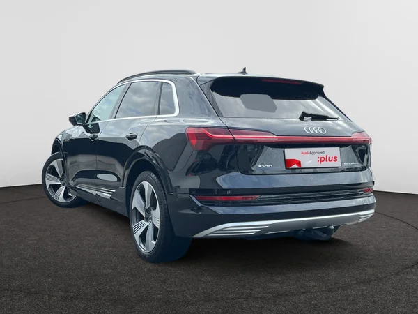 AUDI e-tron (2019) — foto 18 van 24