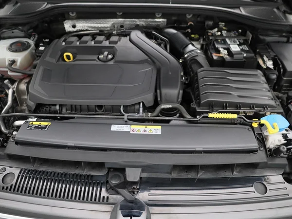 Volkswagen Golf (2022) — foto 31 van 47