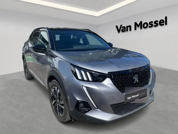 Peugeot 2008 (2022) — foto 13 van 19