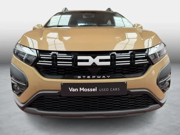 Dacia Sandero Stepway (2025) — foto 10 van 17