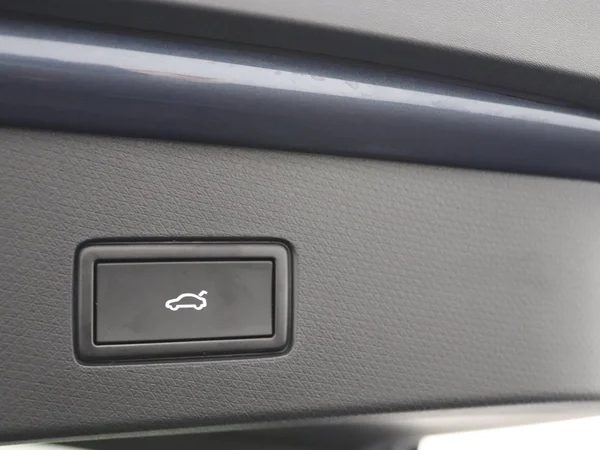 CUPRA Tavascan (2024) — foto 17 van 36