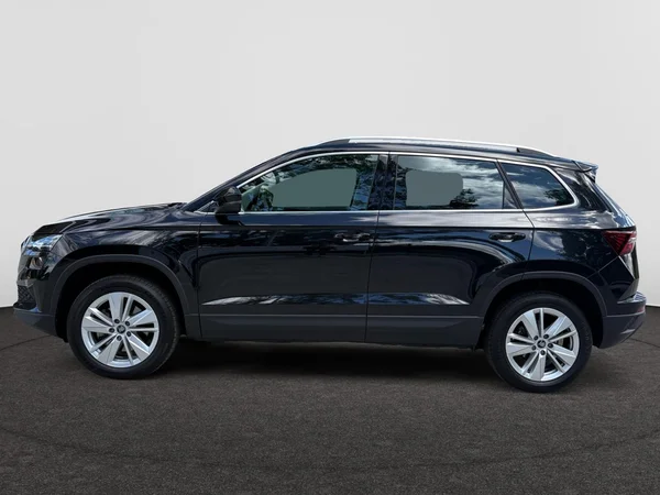 SKODA Karoq (2025) — foto 12 van 24