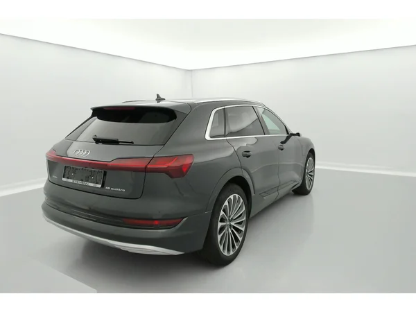 AUDI e-tron (2019) — foto 21 van 31
