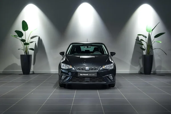 SEAT Ibiza (2021) — foto 12 van 30