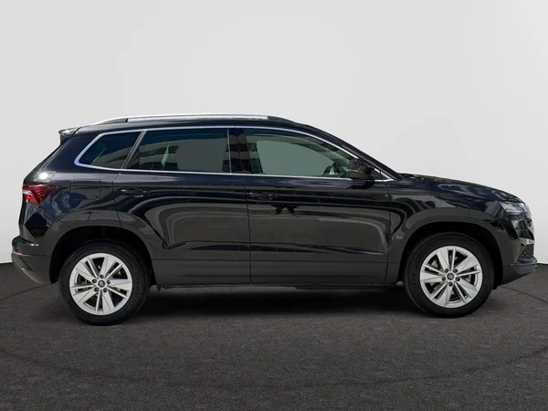 SKODA Karoq (2025) — foto 21 van 24