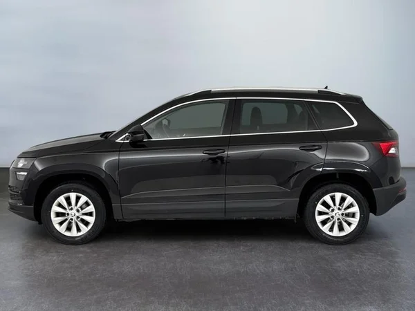 SKODA Karoq (2021) — foto 13 van 17