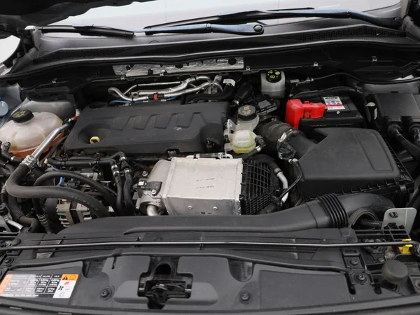Ford Kuga (2023) — foto 21 van 31
