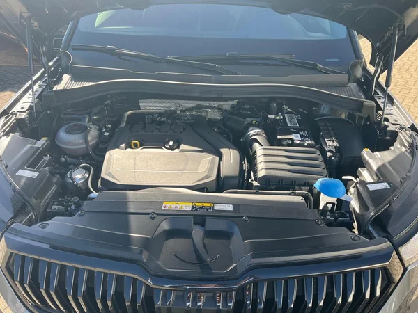 SKODA Kodiaq (2023) — foto 15 van 24