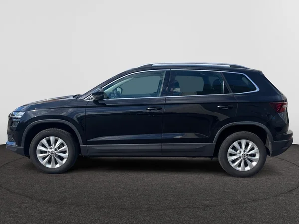 SKODA Karoq (2022) — foto 12 van 20