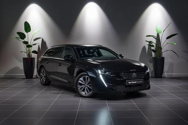 Peugeot 508 (2023) — foto 12 van 36