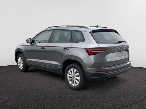 SKODA Karoq (2025) — foto 10 van 16